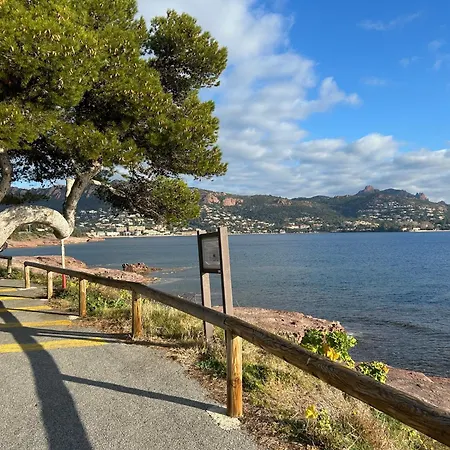 Lägenhet Superbe 4/5 Pers Dans Cap Esterel